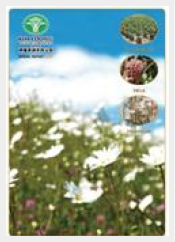 Annual Report Year 2007