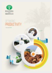 Annual Report Year 2019