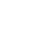 Governance & Materiality