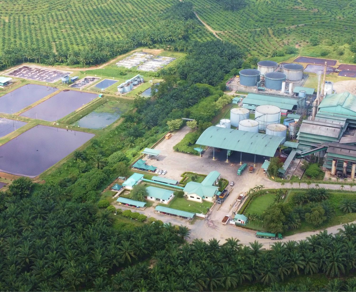 Kim Loong Palm Oil Mill