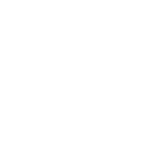 Employees Representatives