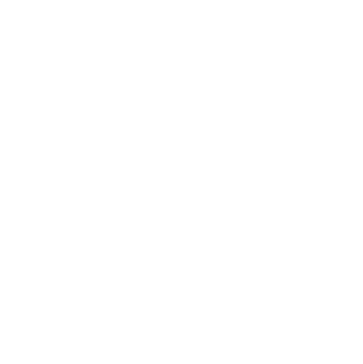 Management Capability