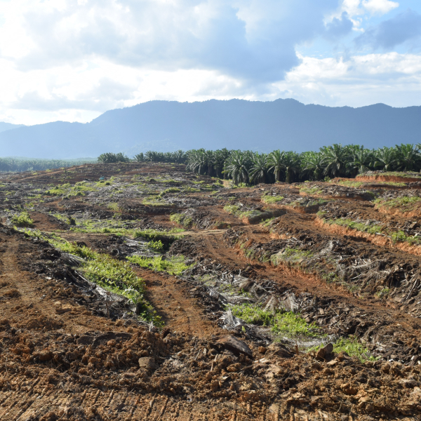 Anti-Bribery & Anti-Corruption Policy