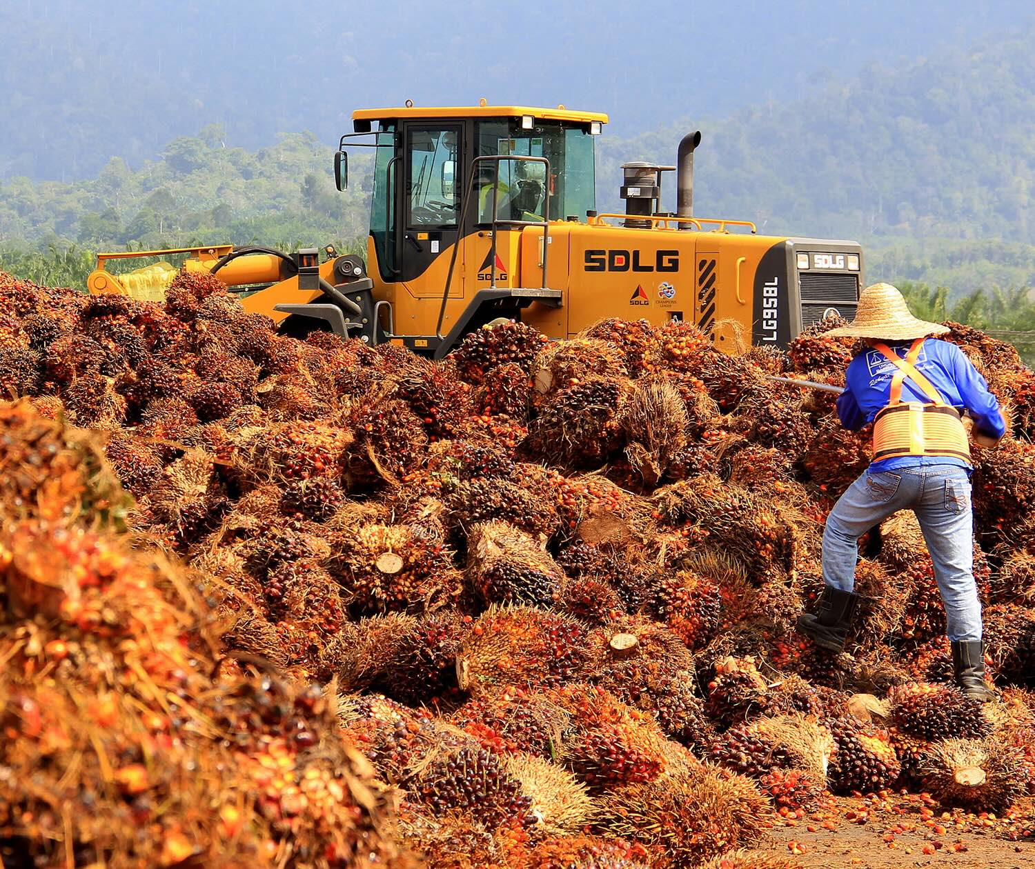 Management Capability