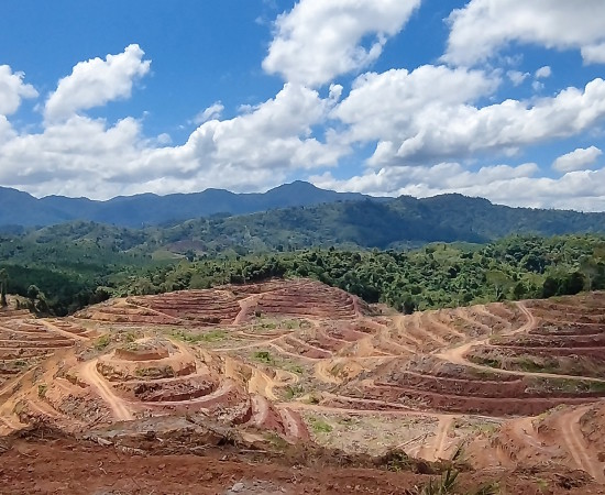 Zero Burning in Land Clearing