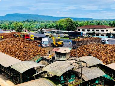 Kim Loong's 4Q Profit Dips On Lower FFB Production, Higher Costs