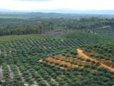 Looking For Land To Secure Future Growth