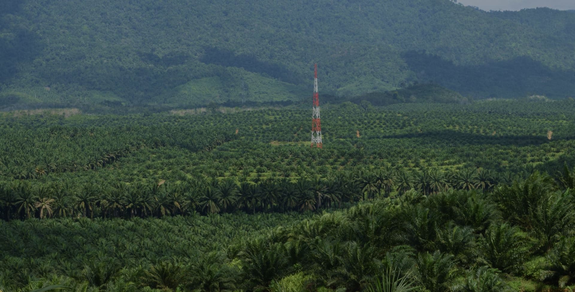 Desktop :: Home Masthead 01