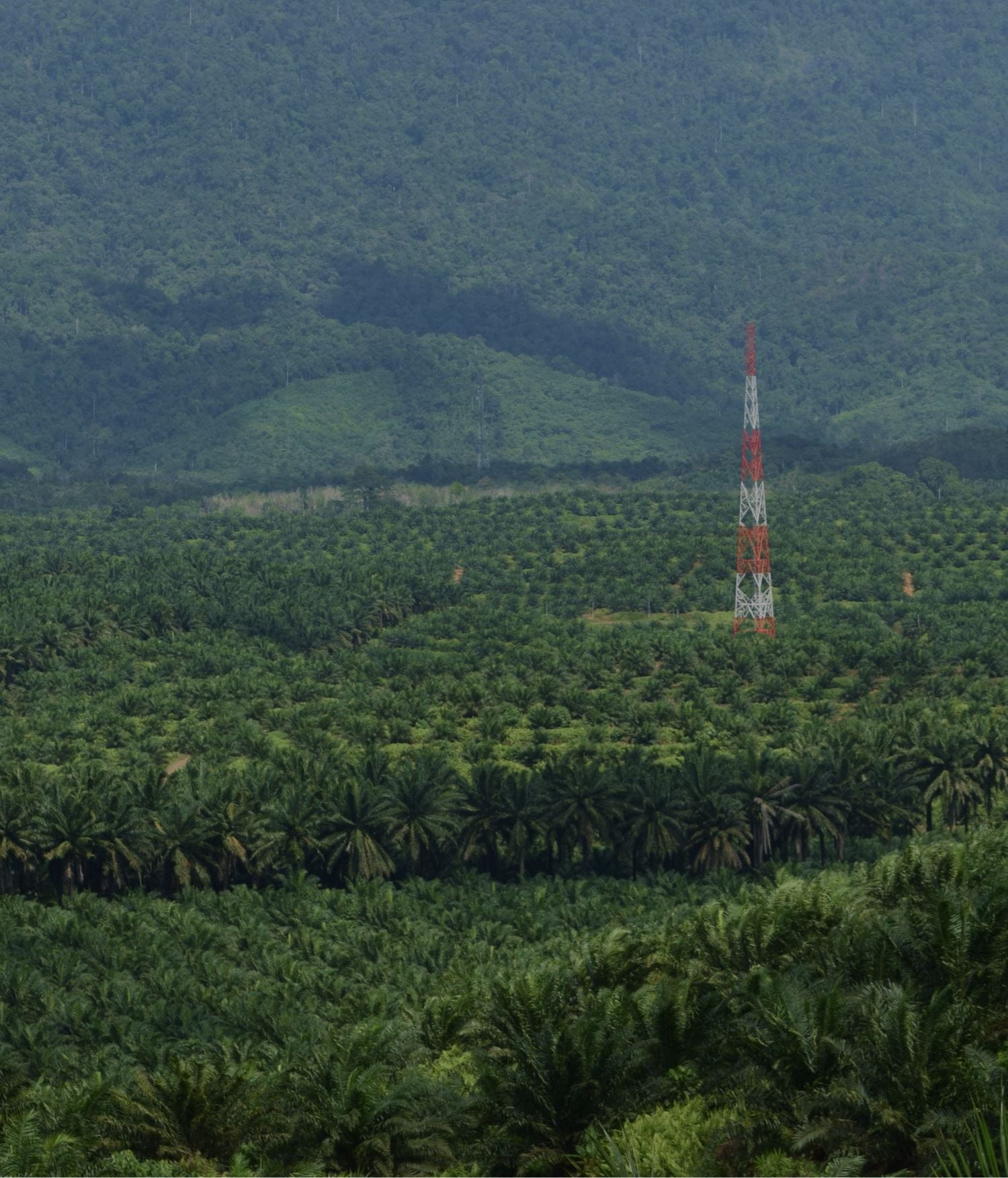 Mobile :: Home Masthead 01