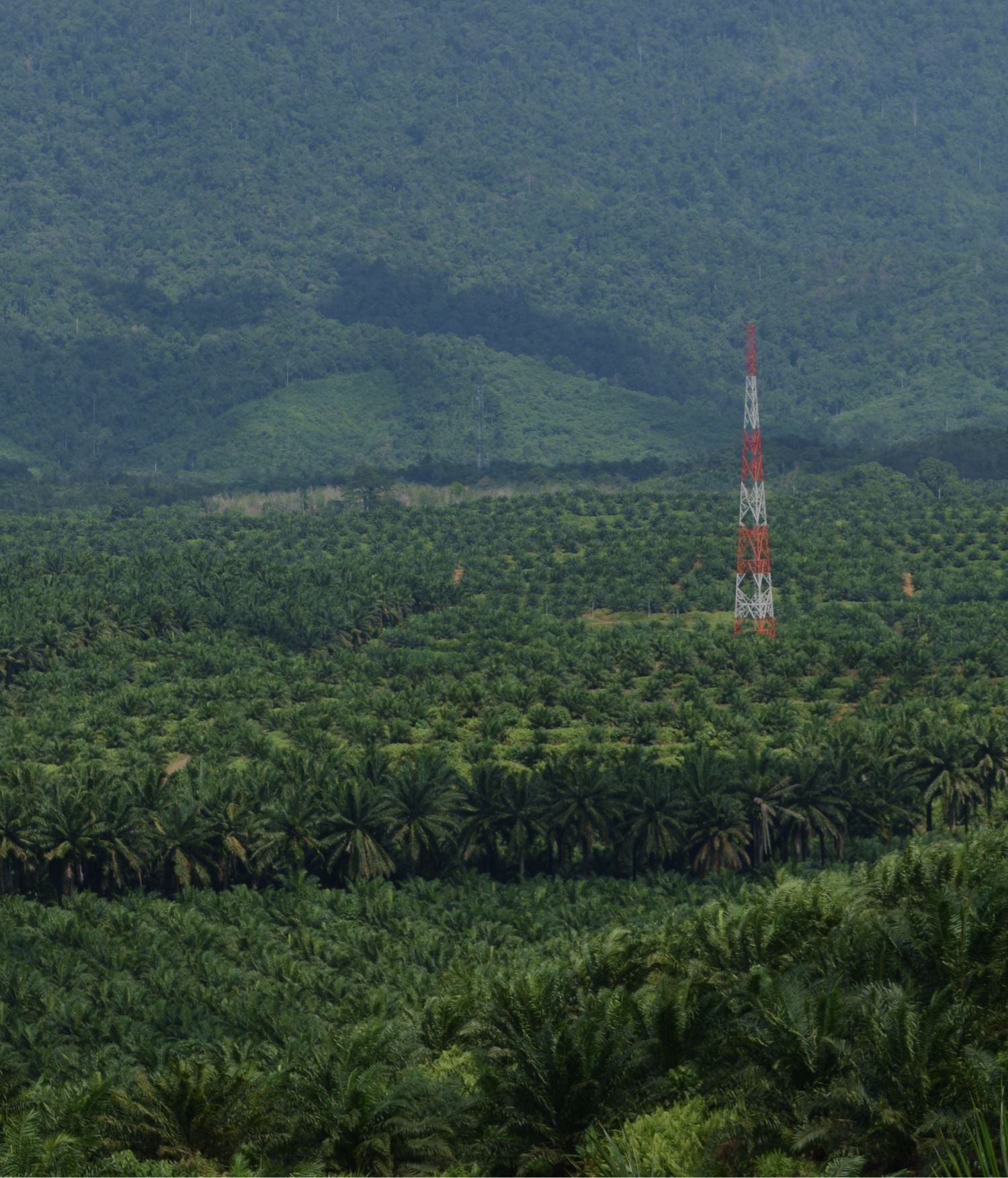 Mobile :: Home Masthead 01