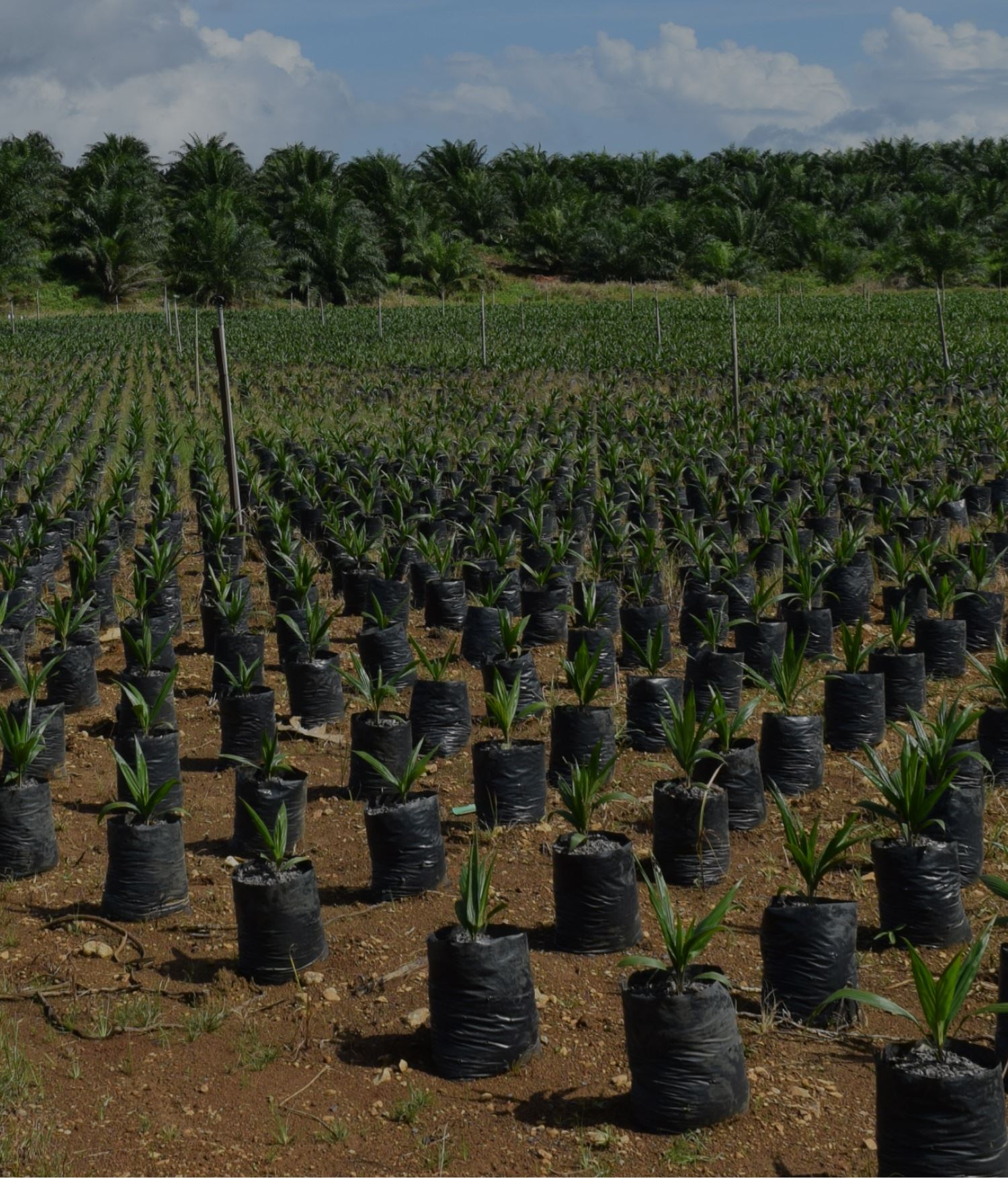 Mobile :: Home Masthead 02